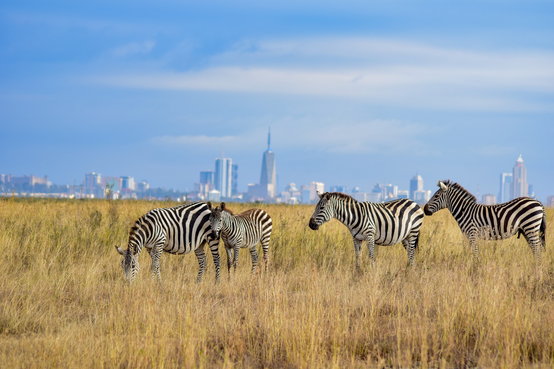 10 Best National Parks In Kenya - Smart Nomad Kenya