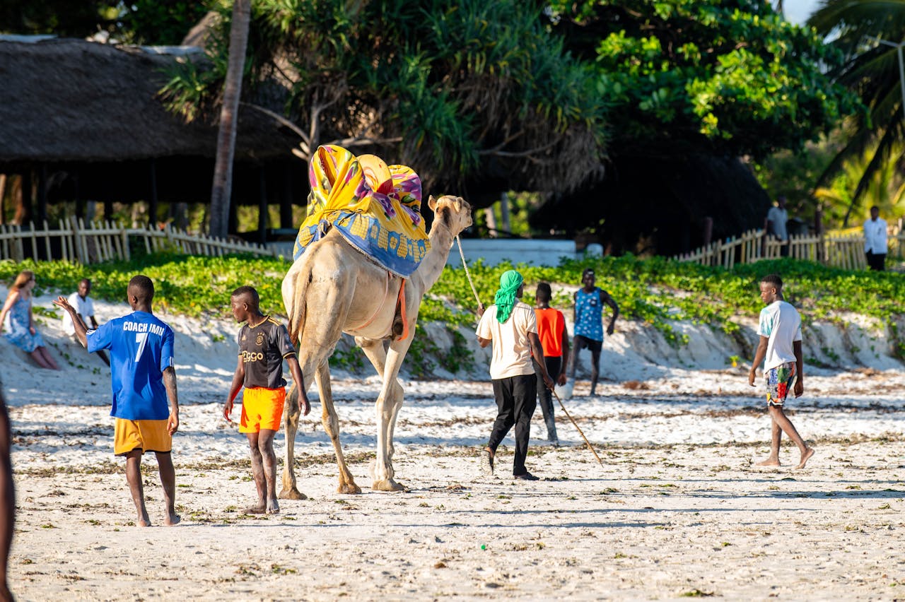 13 Fun Activities In Diani 2026 Smart Nomad Kenya 13-fun-activities-in-diani-2026-smart-nomad-kenya